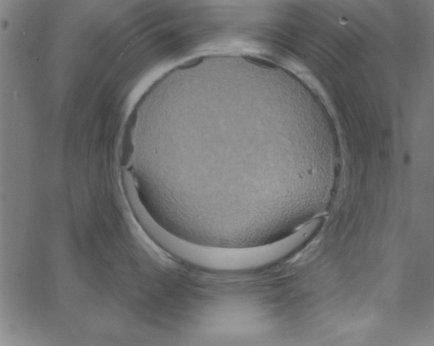 X0000067391344200604281832