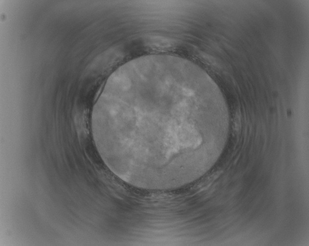 X0000067391346200604281832