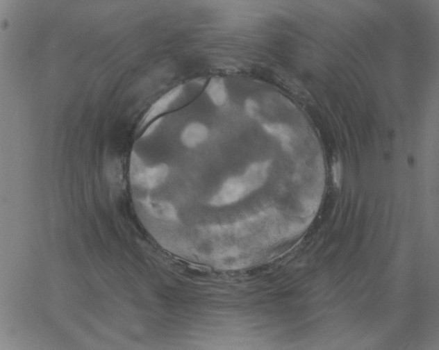 X0000067391347200604281832