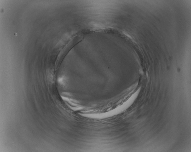 X0000067391348200604281832