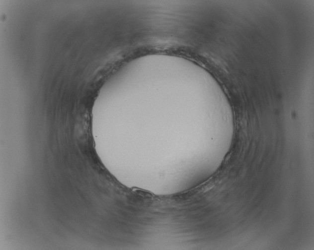 X0000067391349200604281832