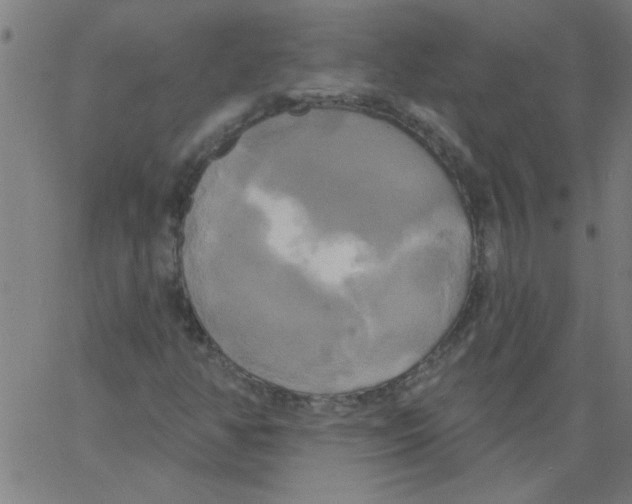 X0000067391350200604281832