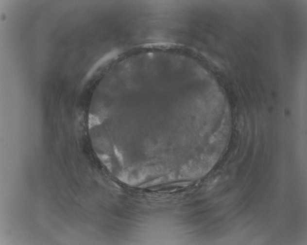 X0000067391351200604281832