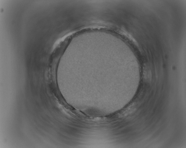 X0000067391352200604281832