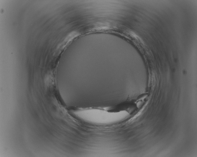 X0000067391353200604281832