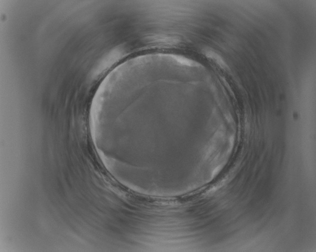 X0000067391354200604281832