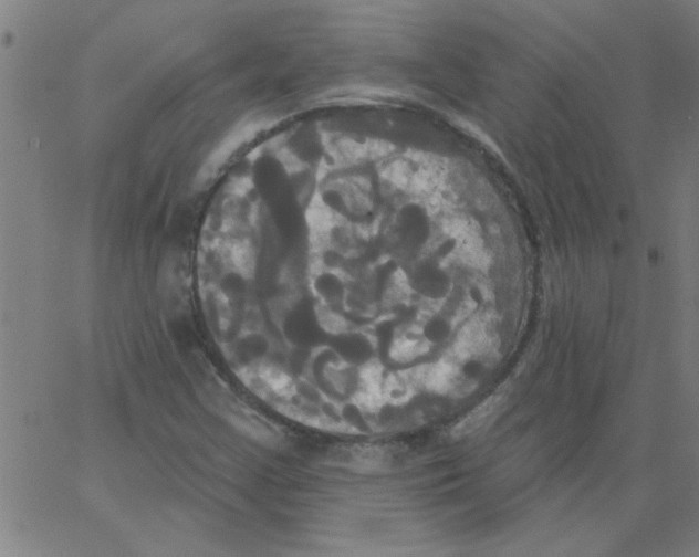 X0000067391355200604281832