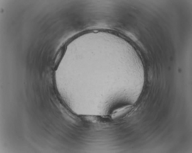 X0000067391356200604281831