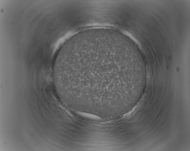 X0000067391357200604281831