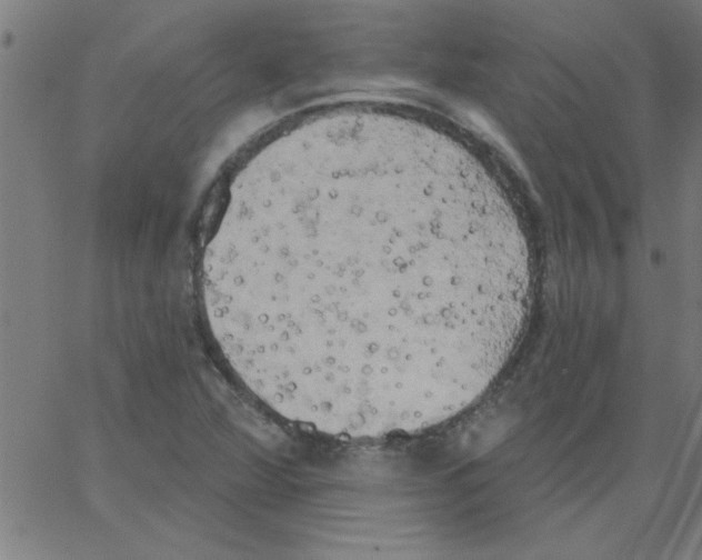 X0000067391360200604281831