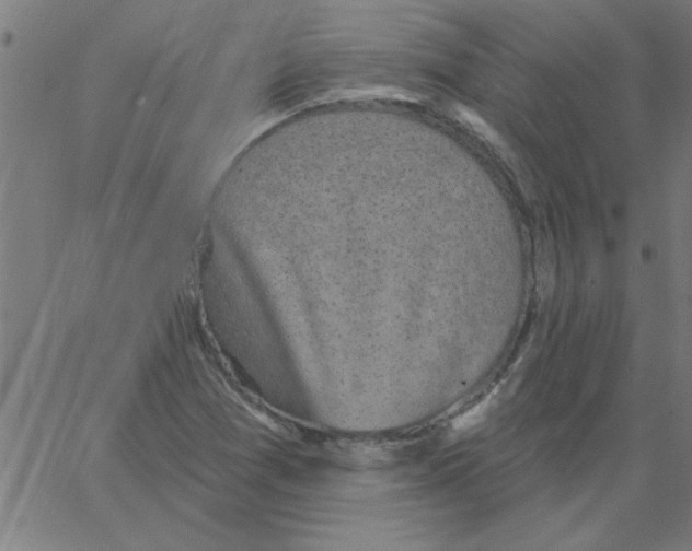 X0000067391361200604281831