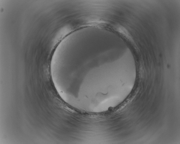 X0000067391362200604281831