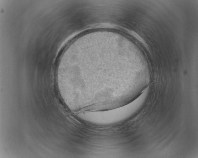 X0000067391364200604281831