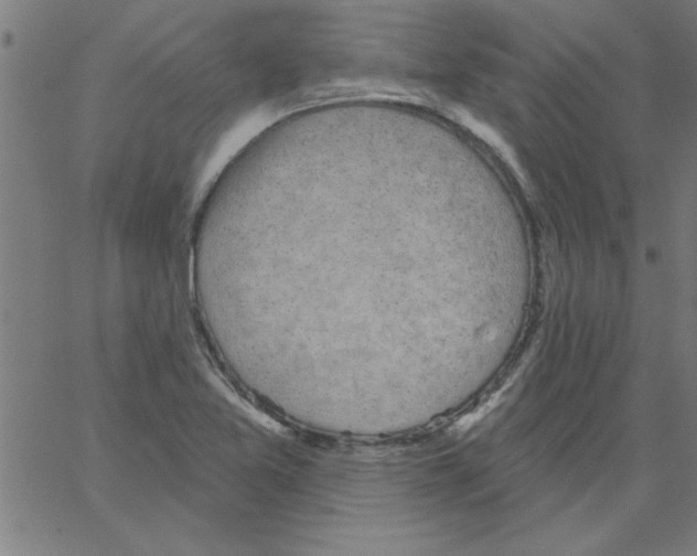 X0000067391365200604281831