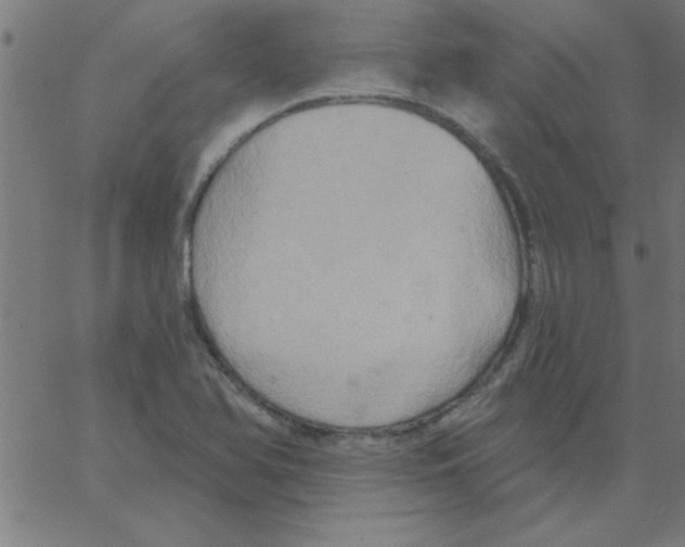 X0000067391366200604281831