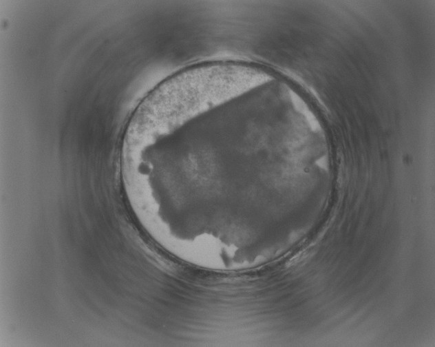 X0000067391367200604281831