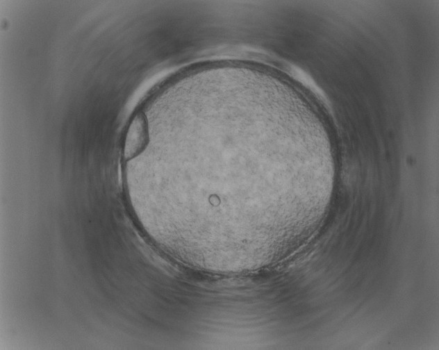 X0000067391368200604281831