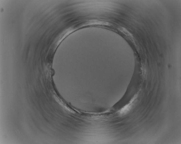 X0000067391369200604281831