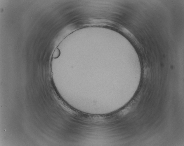 X0000067391370200604281831