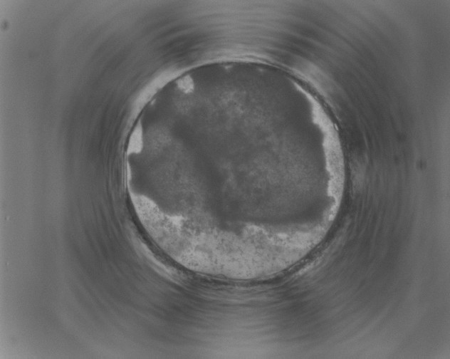 X0000067391371200604281831