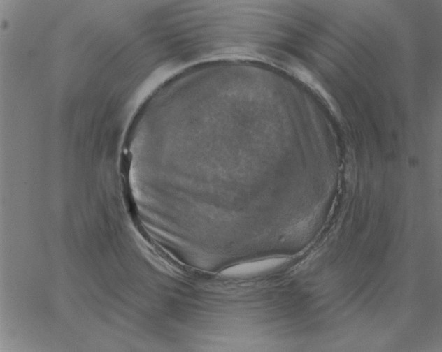 X0000067391372200604281831