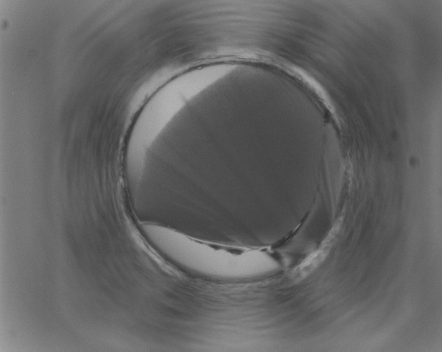 X0000067391373200604281831