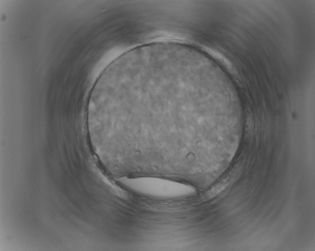 X0000067391375200604281831