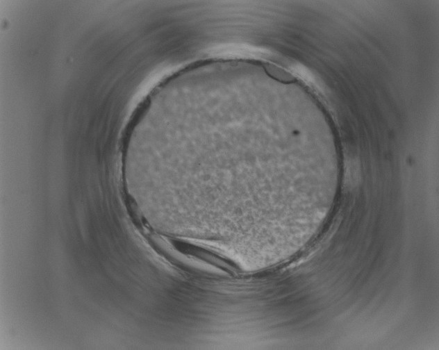 X0000067391376200604281831