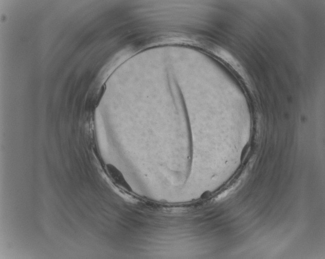 X0000067391377200604281831