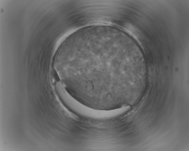 X0000067391379200604281831