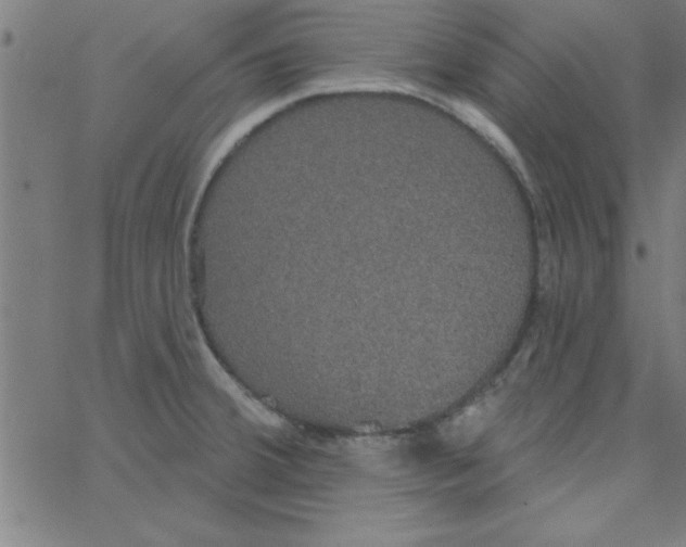 X0000067391380200604281831