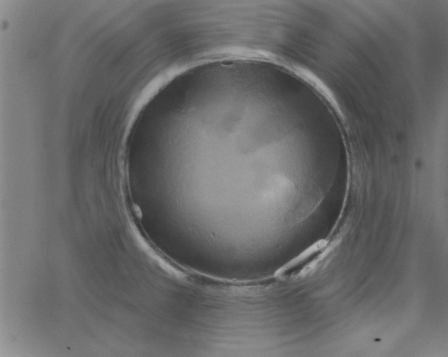 X0000067391381200604281831