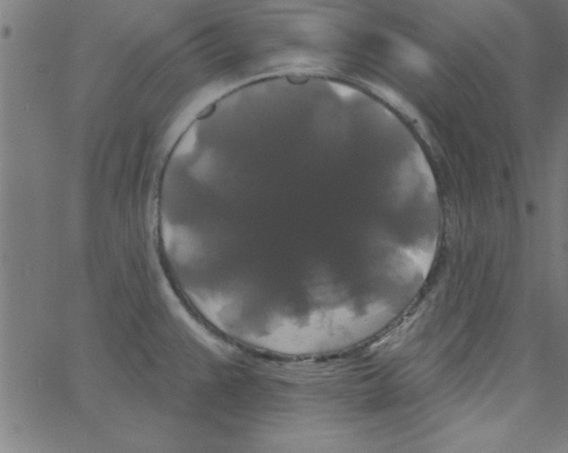 X0000067391383200604281831