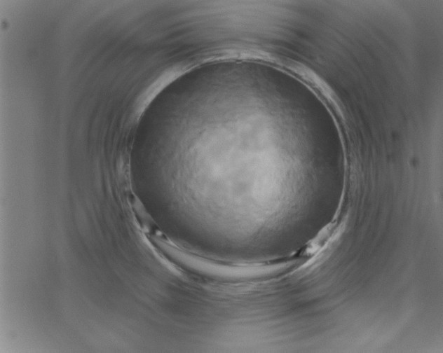 X0000067391385200604281831