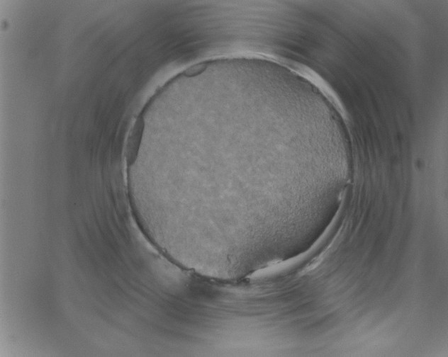 X0000067391388200604281831