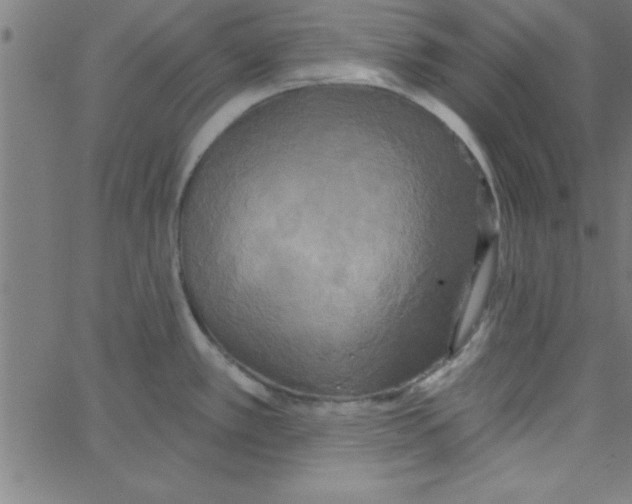 X0000067391389200604281831