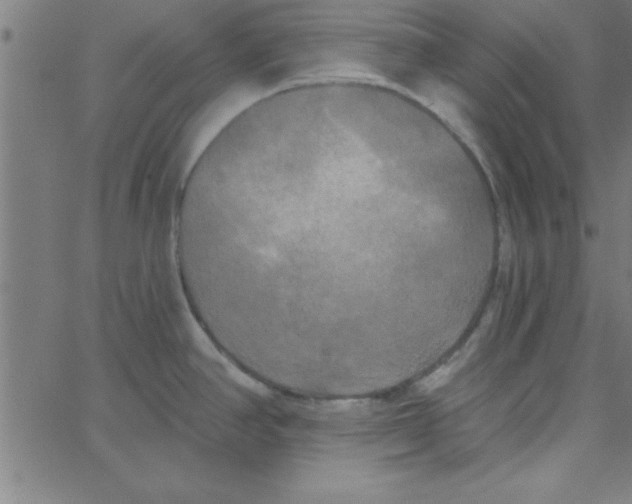 X0000067391390200604281831