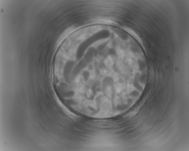 X0000067391391200604281831