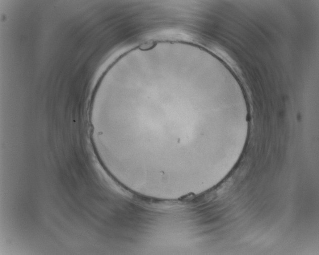 X0000067391392200604281831