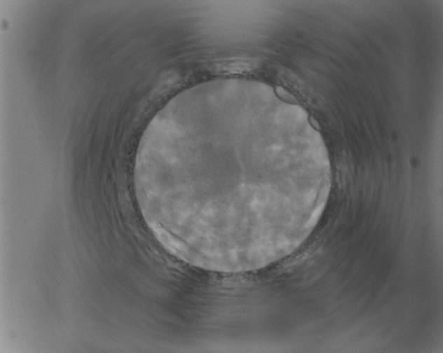 X0000067391393200604281830