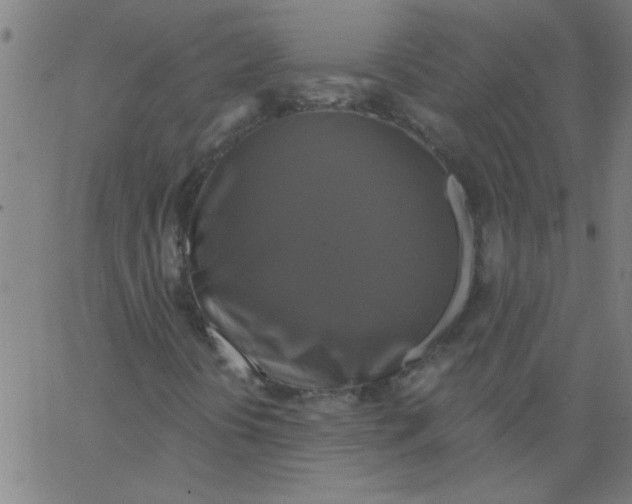 X0000067391394200604281830