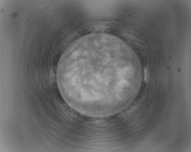 X0000067391395200604281830