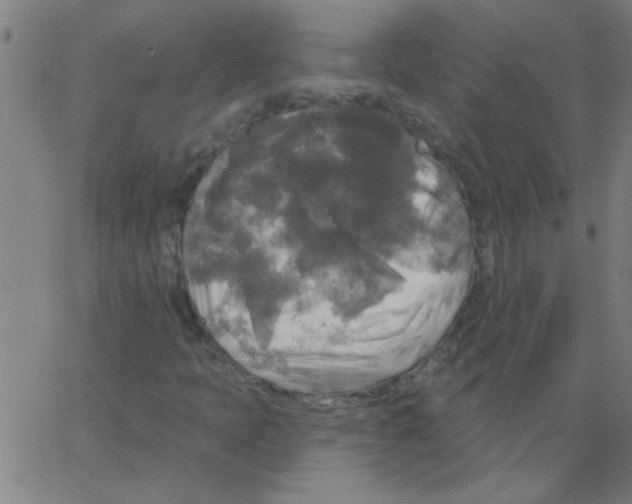 X0000067391397200604281830