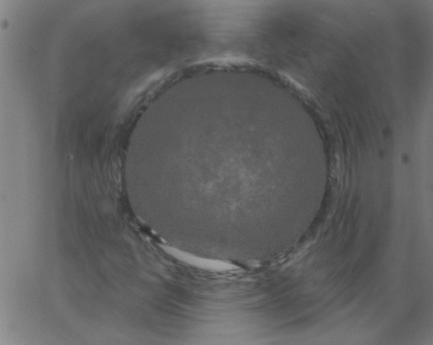 X0000067391398200604281830