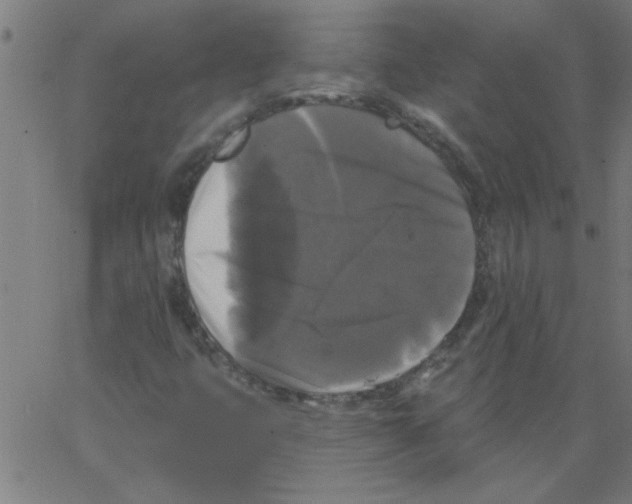 X0000067391399200604281830