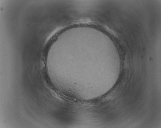 X0000067391400200604281830