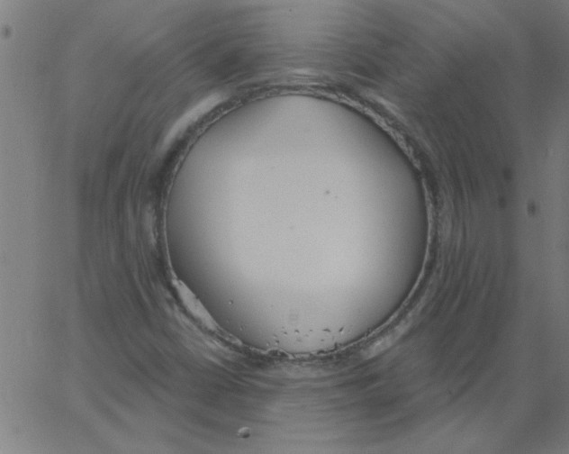 X0000067391402200604281830