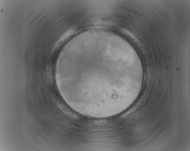 X0000067391403200604281830