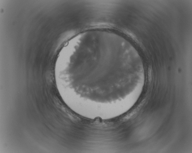 X0000067391405200604281830