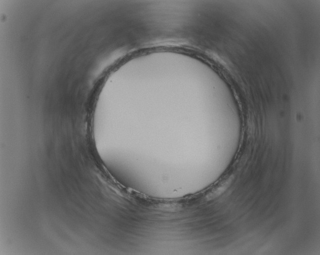 X0000067391406200604281830